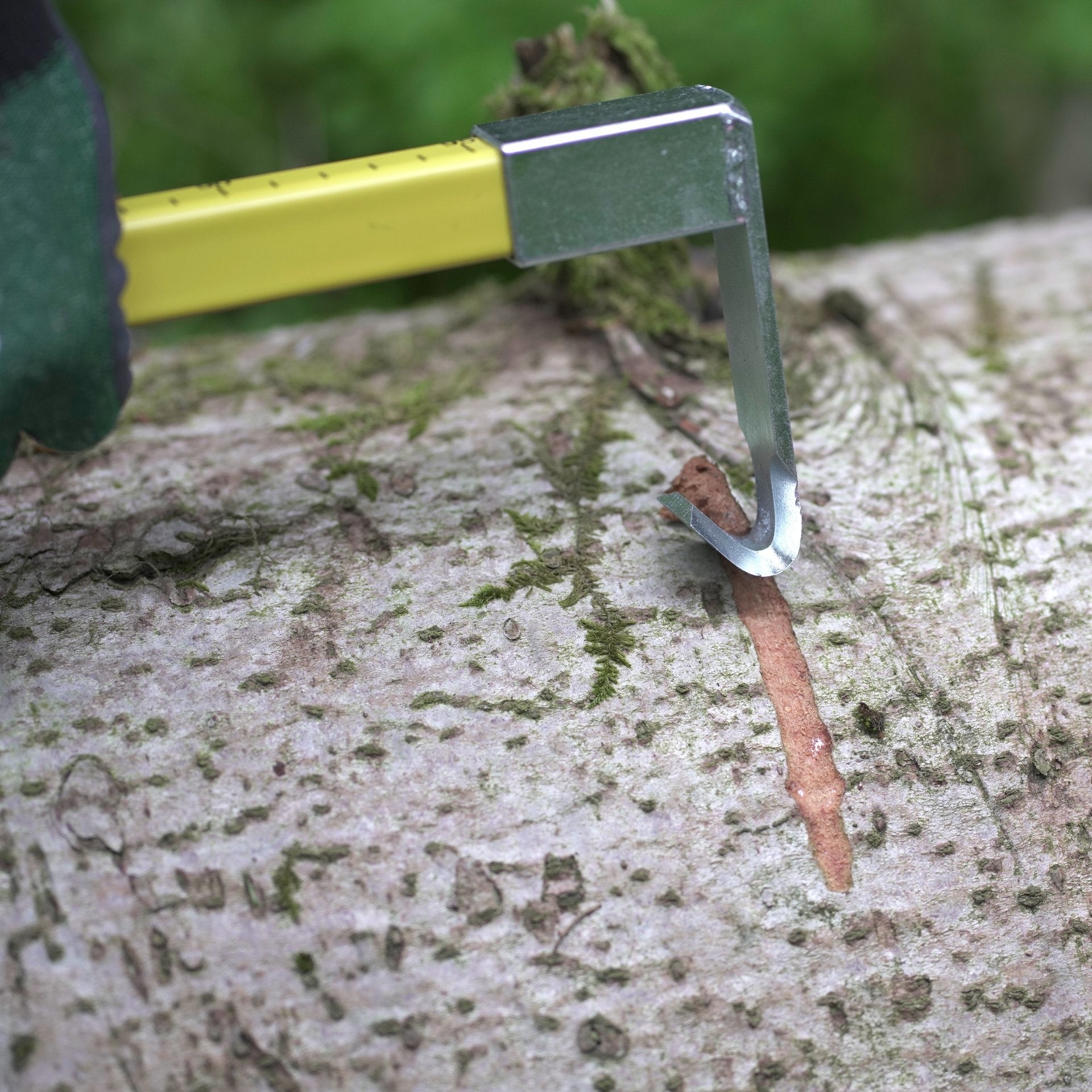 NESTLE Anreißmeterstock 100 cm, Holz, mit einseitigem Reißer NESTLE Anreißmeterstock 100 cm, Holz, mit einseitigem Reißer
